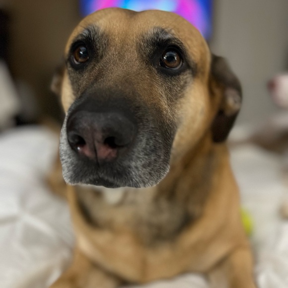 Meet your Posher, Shannon - Picture 3 of 7